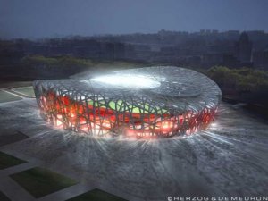 The Bird's Nest Stadium