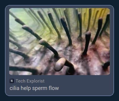 Cilia help sperm flow