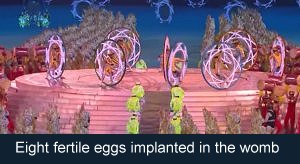 Eight fertile eggs implanted in the womb