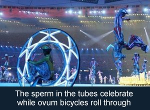 The sperm in the tubes celebrate while ovum bicycles roll through