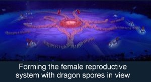 Forming the female reproductive system with dragon spores in view