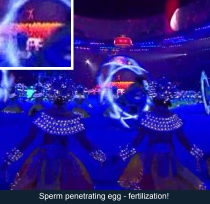 Sperm penetrating egg